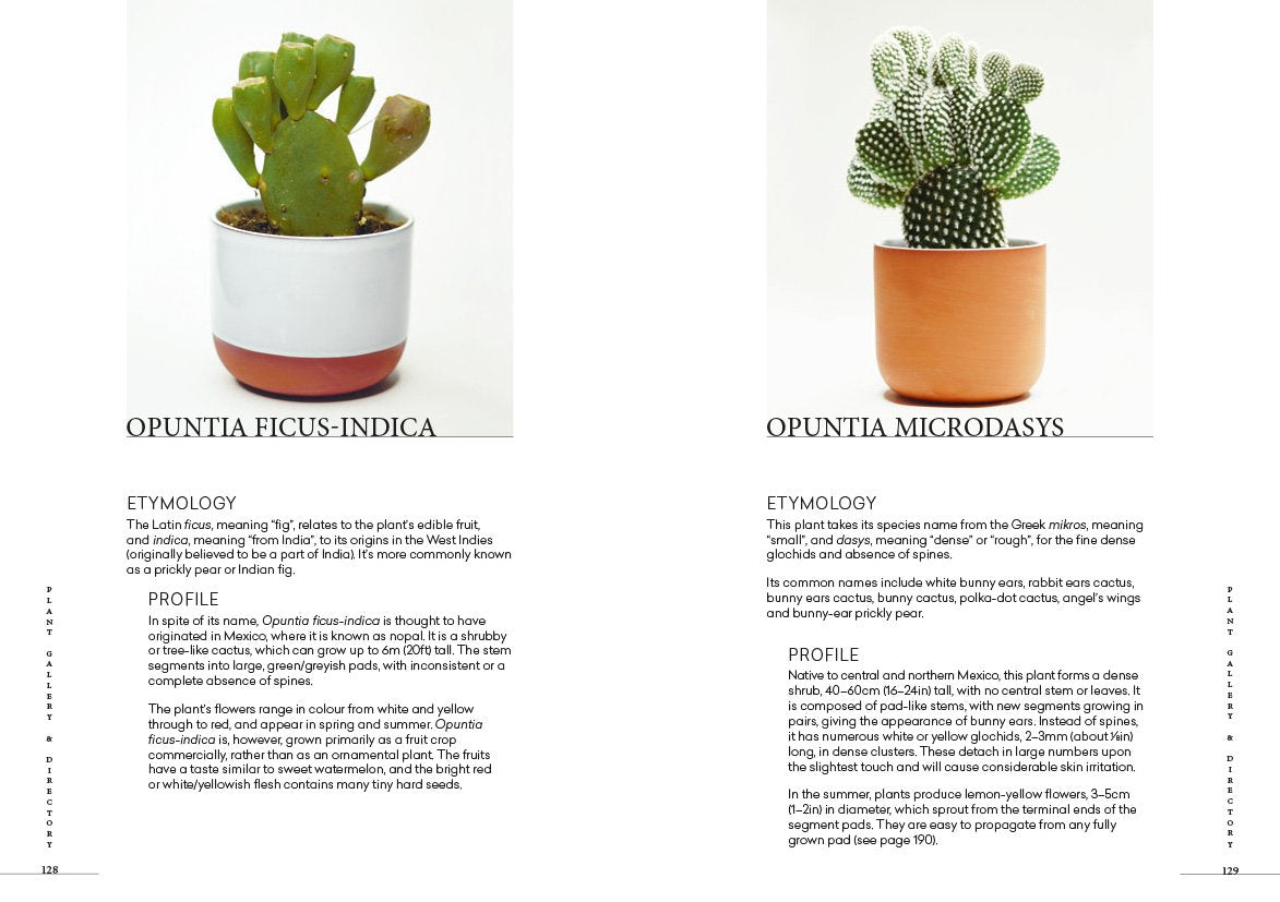 Book - Prick: Cacti & Succulents – Industry & Co