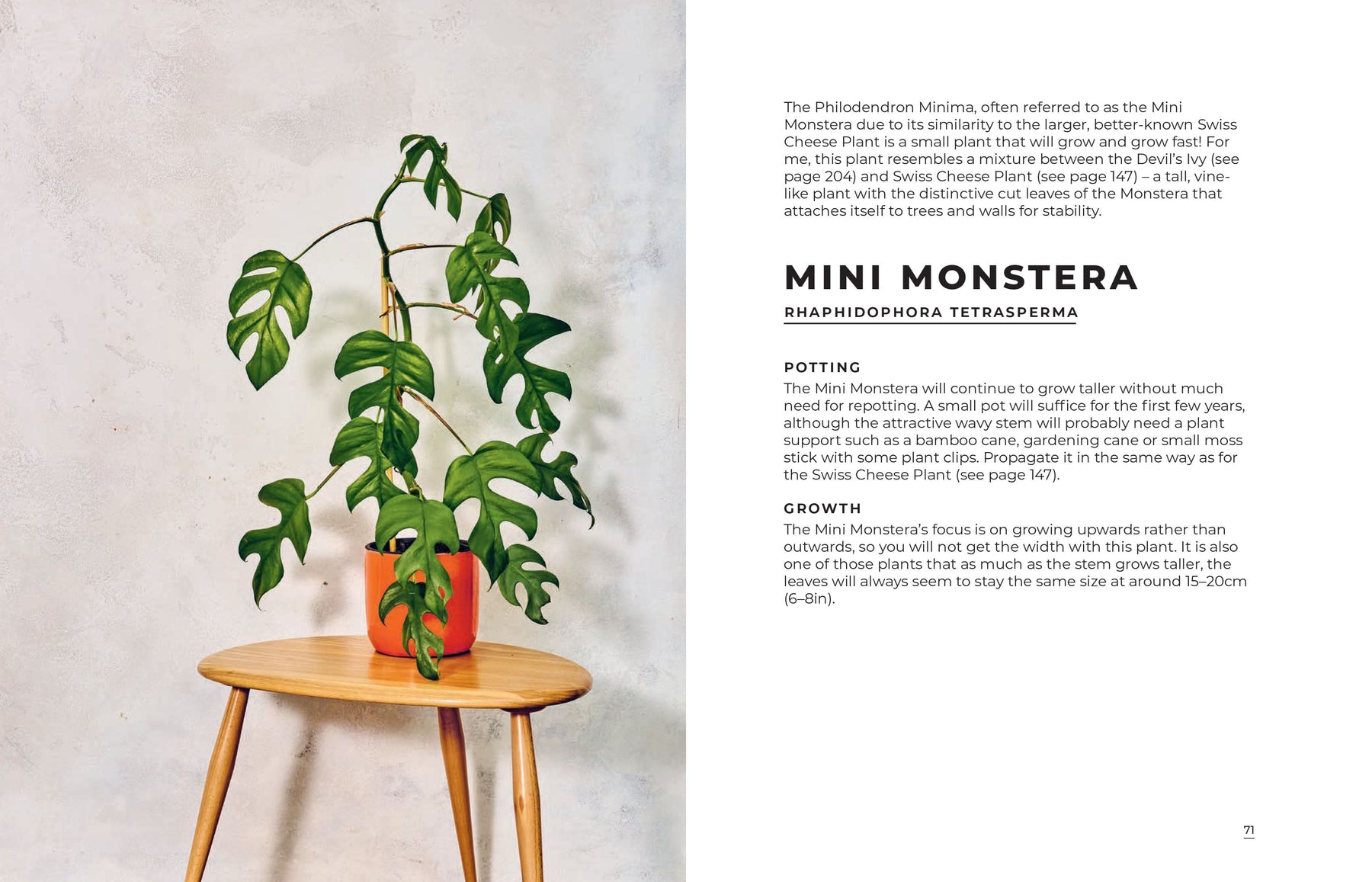 the big book of house plants Book - Big Book Of House Plants – Industry & Co