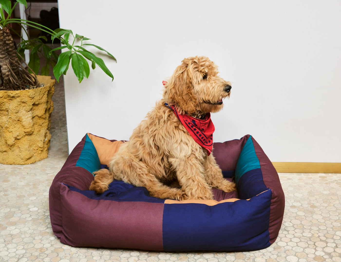 HAY - Dogs Bed - Large/Burgundy & Green - Lifestyle Cut 2