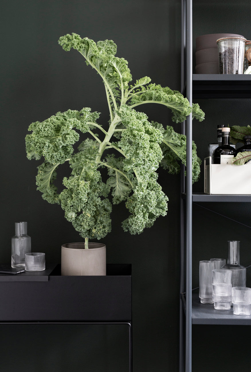 ferm living plant box divider Plant Box - Black – Industry & Co
